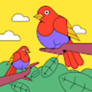 Meet your Posher, Teacher